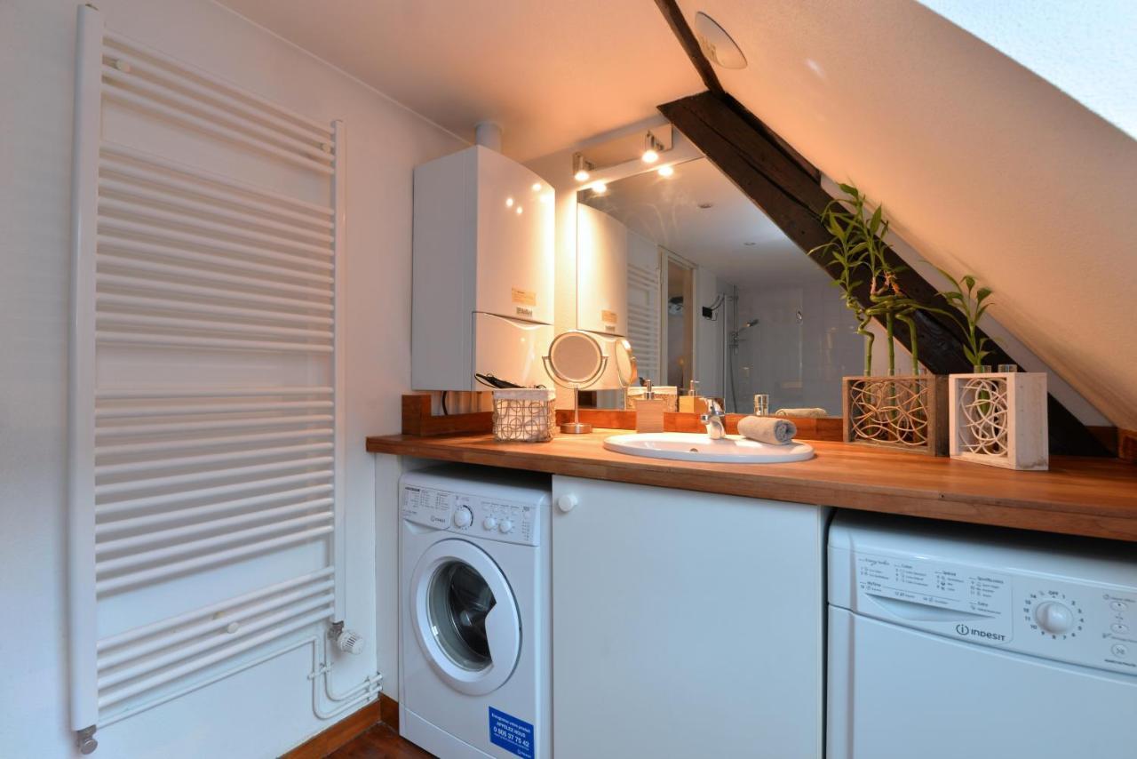קולמר Appartement L'Elegant De La Petite Venise מראה חיצוני תמונה