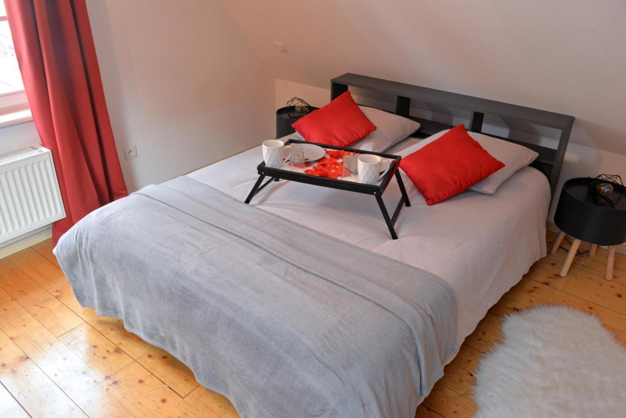 קולמר Appartement L'Elegant De La Petite Venise מראה חיצוני תמונה