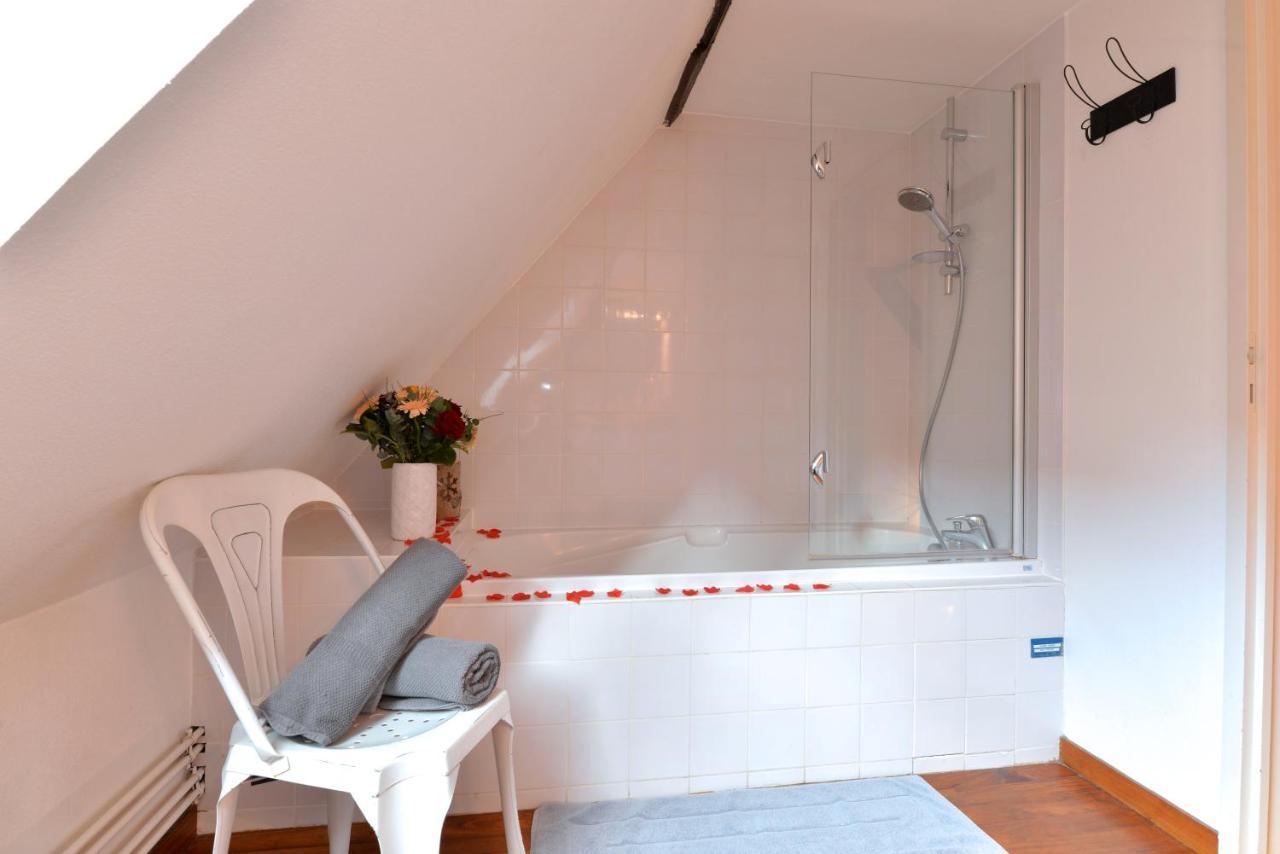 קולמר Appartement L'Elegant De La Petite Venise מראה חיצוני תמונה