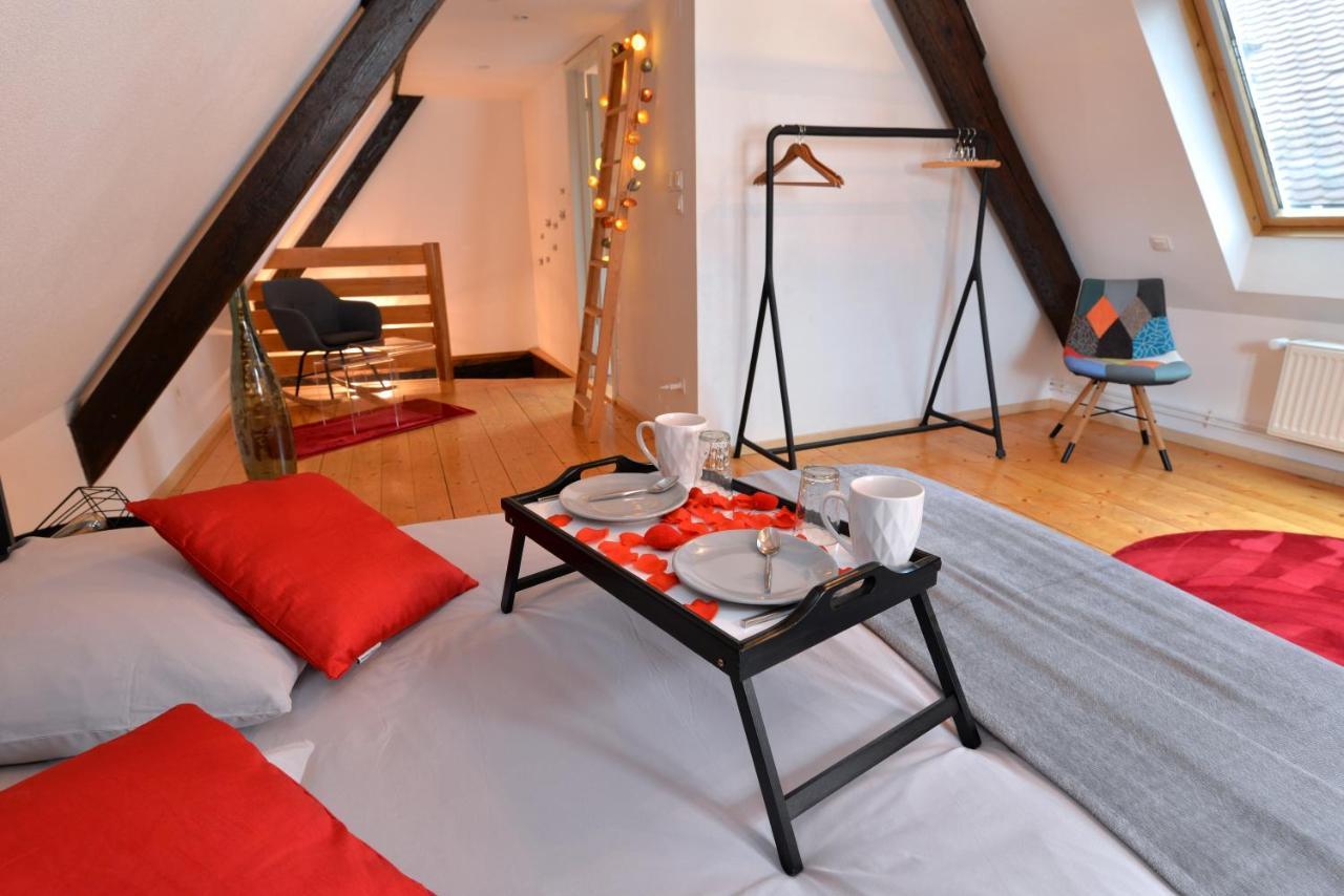 קולמר Appartement L'Elegant De La Petite Venise מראה חיצוני תמונה